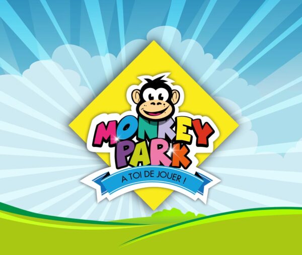 En attente de l’image du produit